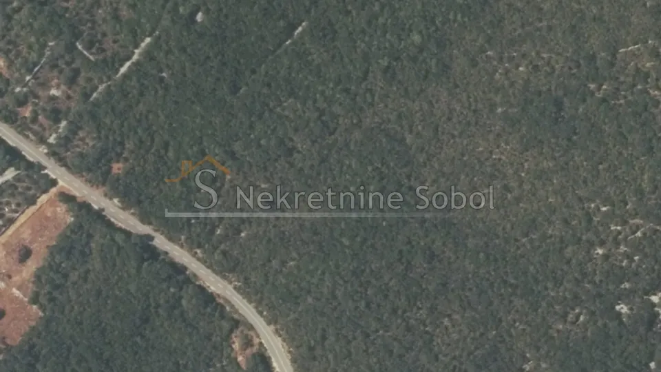 martinšćica, otok cres - šuma, 15800 m2 prodaja - slika 2