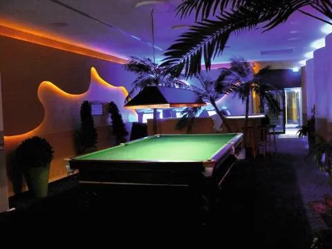 europalms palm, 2 trunks, 305cm - slika 3