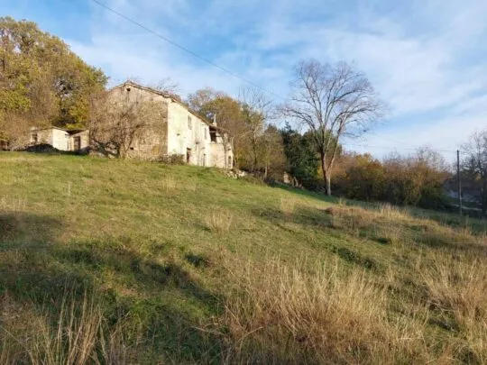 cerovlje, istarska kamena kuća s pogledom na zelenilo - slika 5