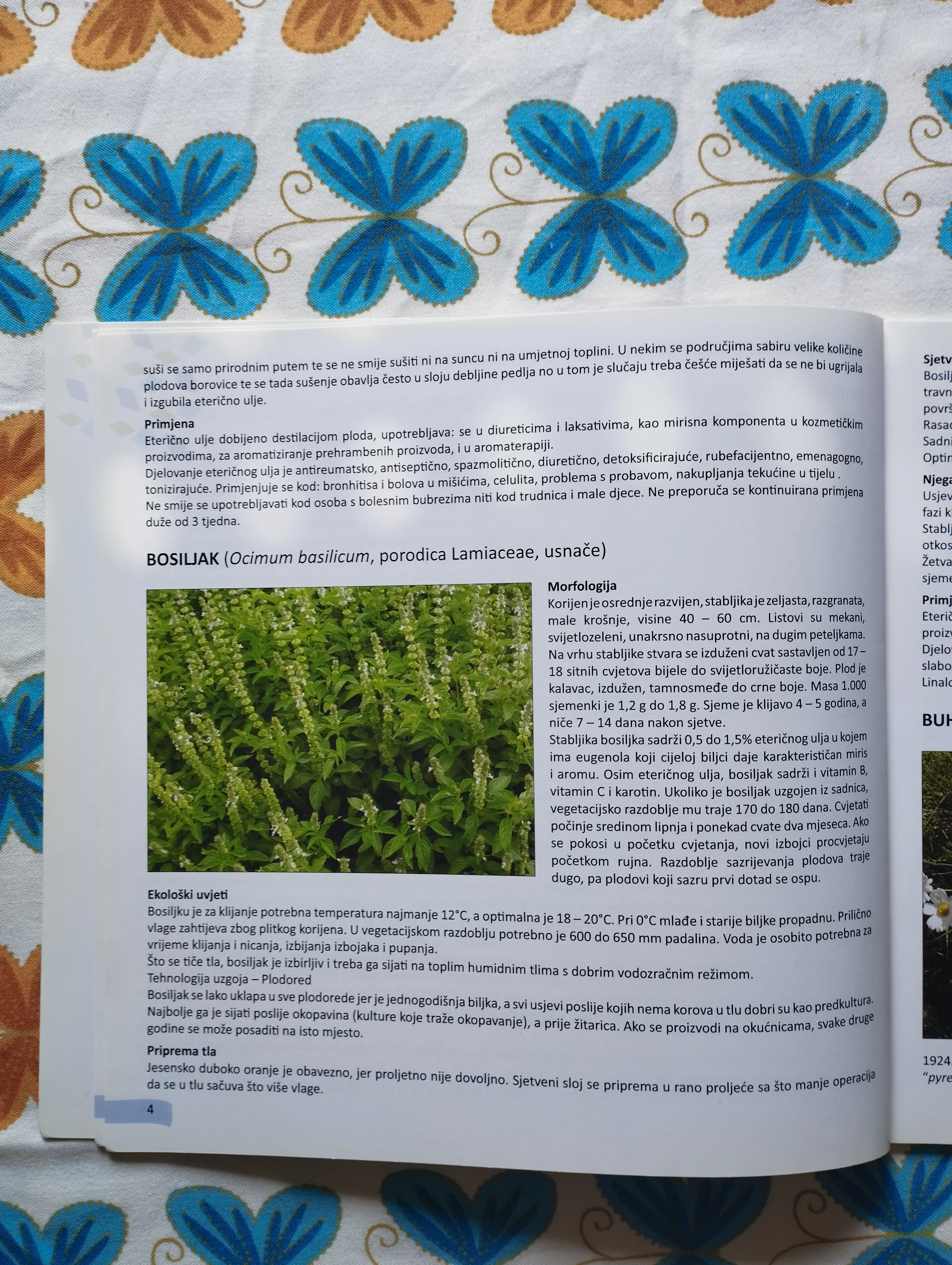 ivan mihovilović -proizvodnja i prerada ljekovitog i aromatičnog bilja - slika 4