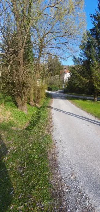 poljana sutlanska, drv. kućica i započ.gradnja kuće na imanju 11600m2 - slika 13
