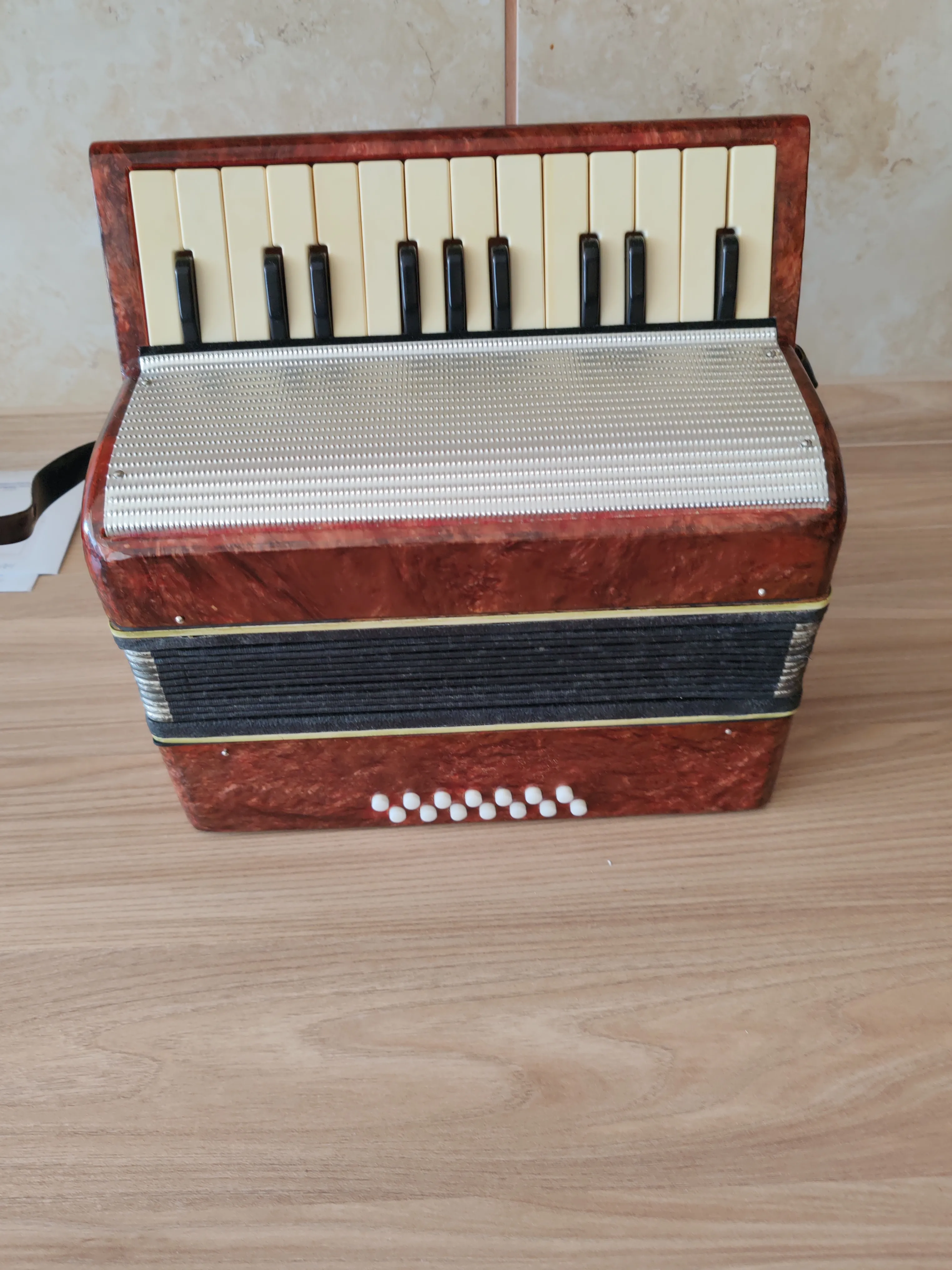 Dječja harmonika - Zagreb
