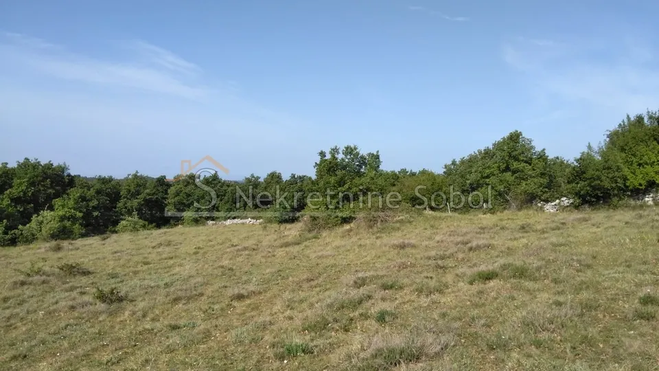 višnjan, zoričići - zemljište, 62710 m2 prodaja - slika 13