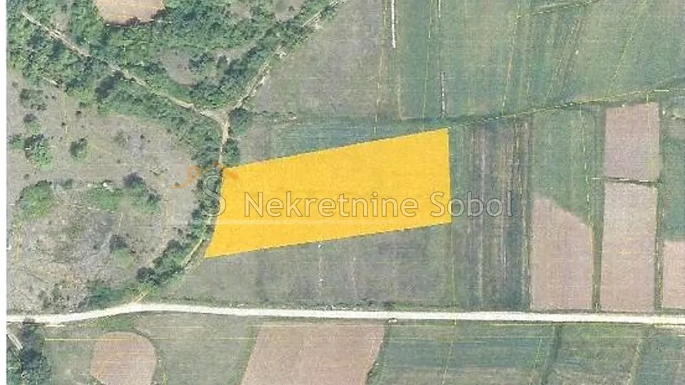tinjan, istra - poljoprivredno, 5472 m2 prodaja - slika 2