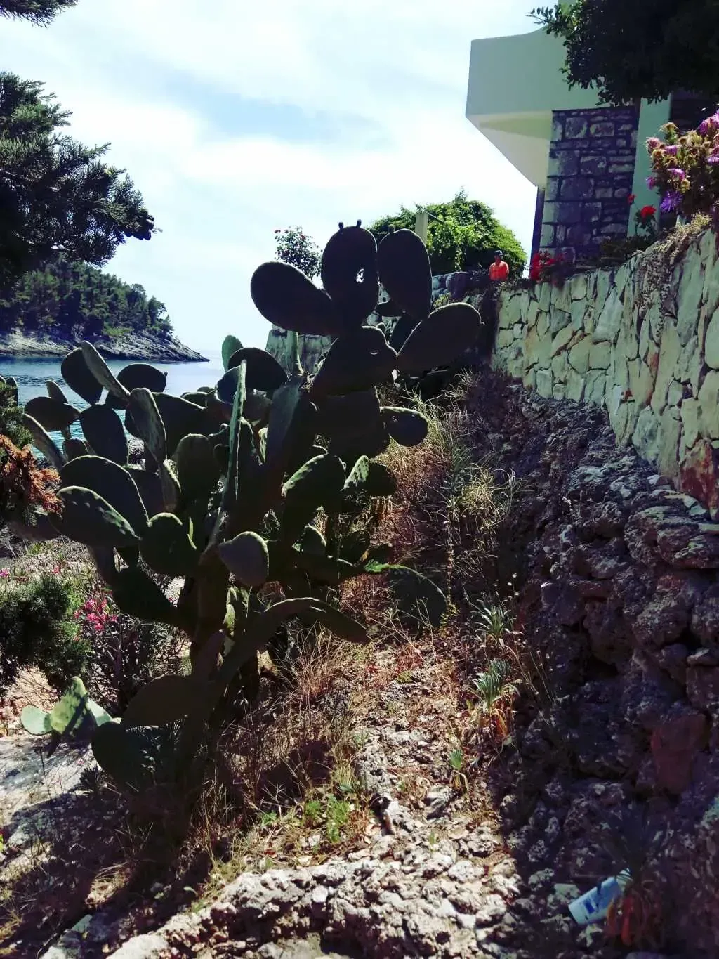 robinzonski turizam šime - slika 14