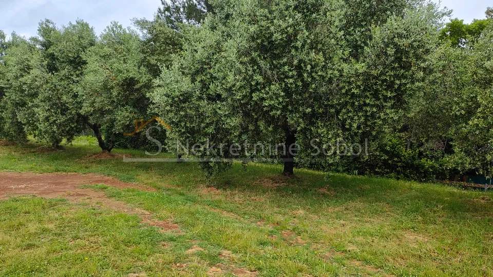 mali lošinj - građevinsko zemljište, 1903 m2 prodaja - slika 4