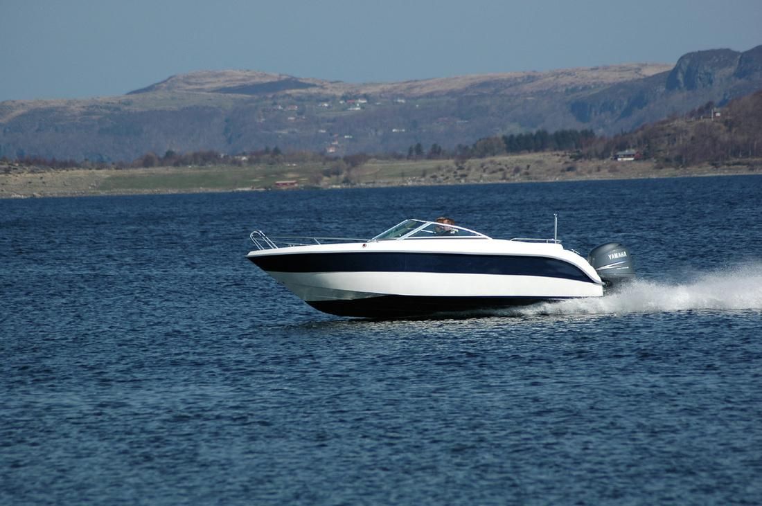 jaanit 606 br - slika 2