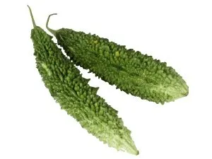Karela-gorka dinja 2019 - Donja Bistra, Bistra
