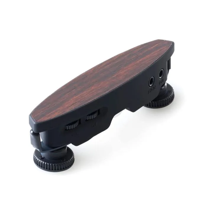 Schertler M-Ag6-Dw Pickup Dark Wood - Zagreb