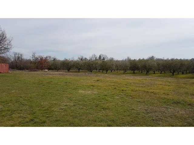 Tar-Građevinsko Zemljište Na Prodaji Pogled More - Tar, Tar-Vabriga