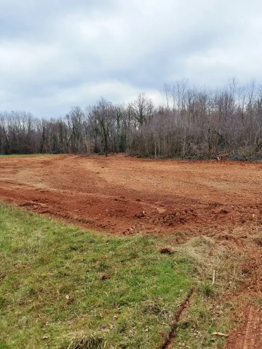 istra, barban, prodaja poljoprivrednog zemljišta 11700 m2 - slika 3