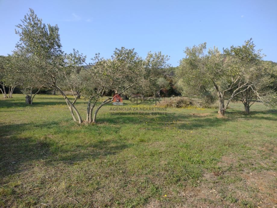 pašman-kraj, građevinsko zemljište 617m2 - slika 2