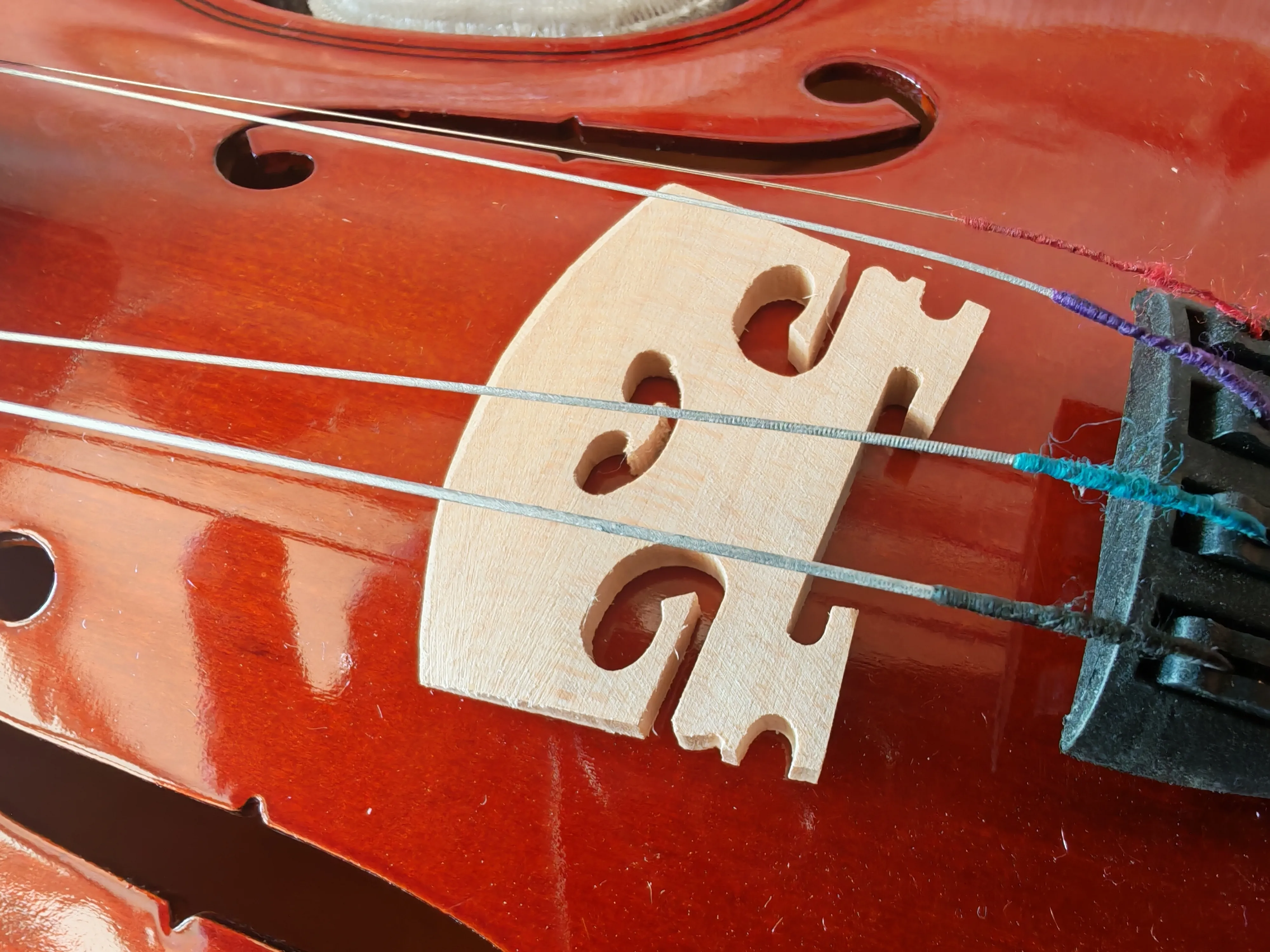violina 3 /4 novo - slika 5