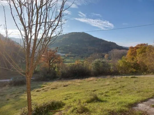 cerovlje, istarska kamena kuća s pogledom na zelenilo - slika 9