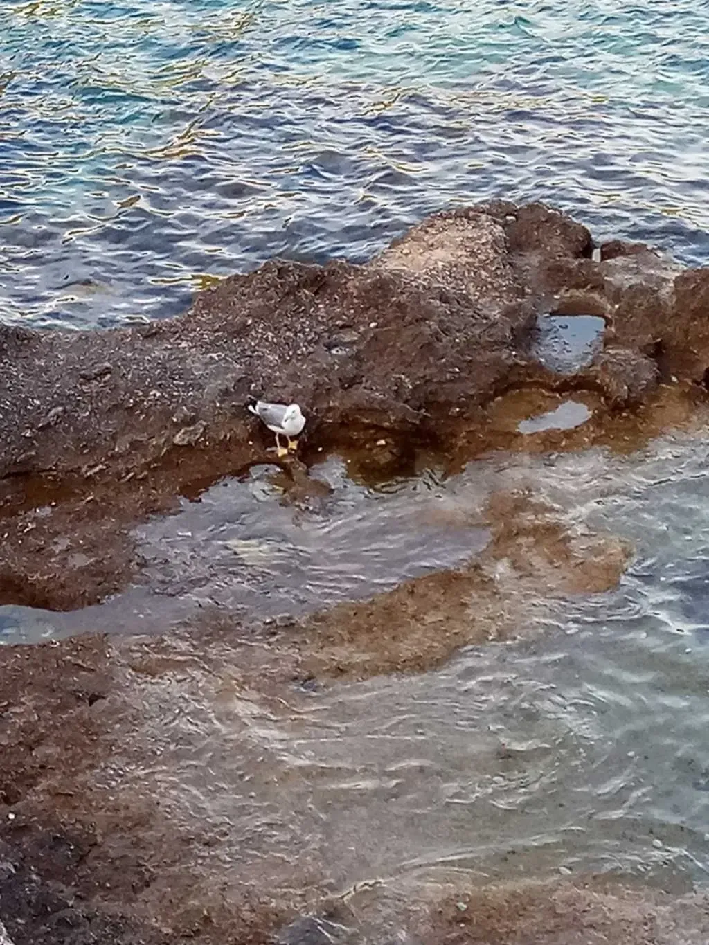 robinzonski turizam šime - slika 17