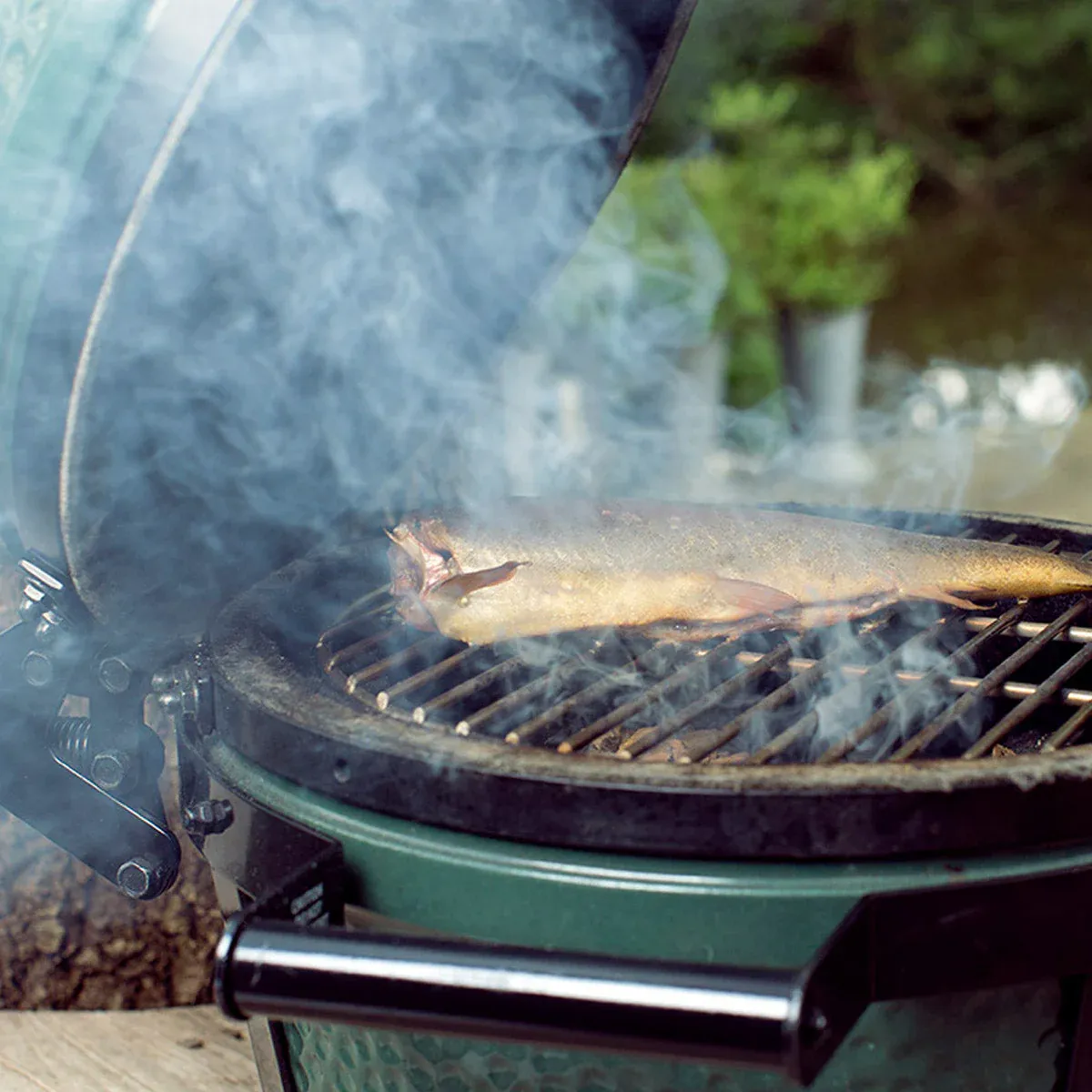 big green egg chunks (big green egg drvene sječke) - slika 3