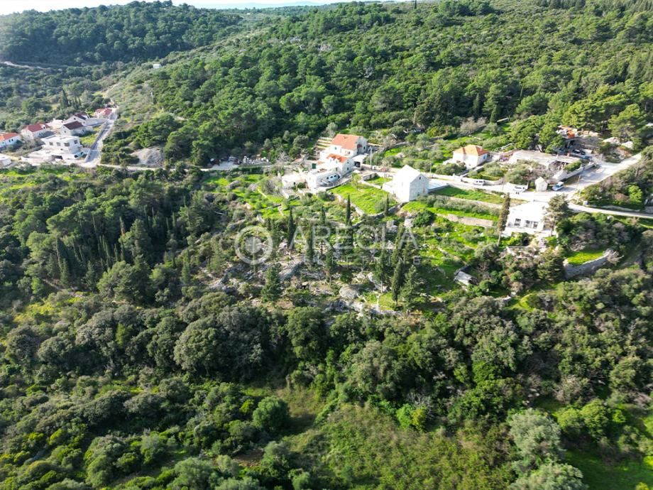 selca (brač) - građevinsko zemljište, 3301 m2 - slika 4