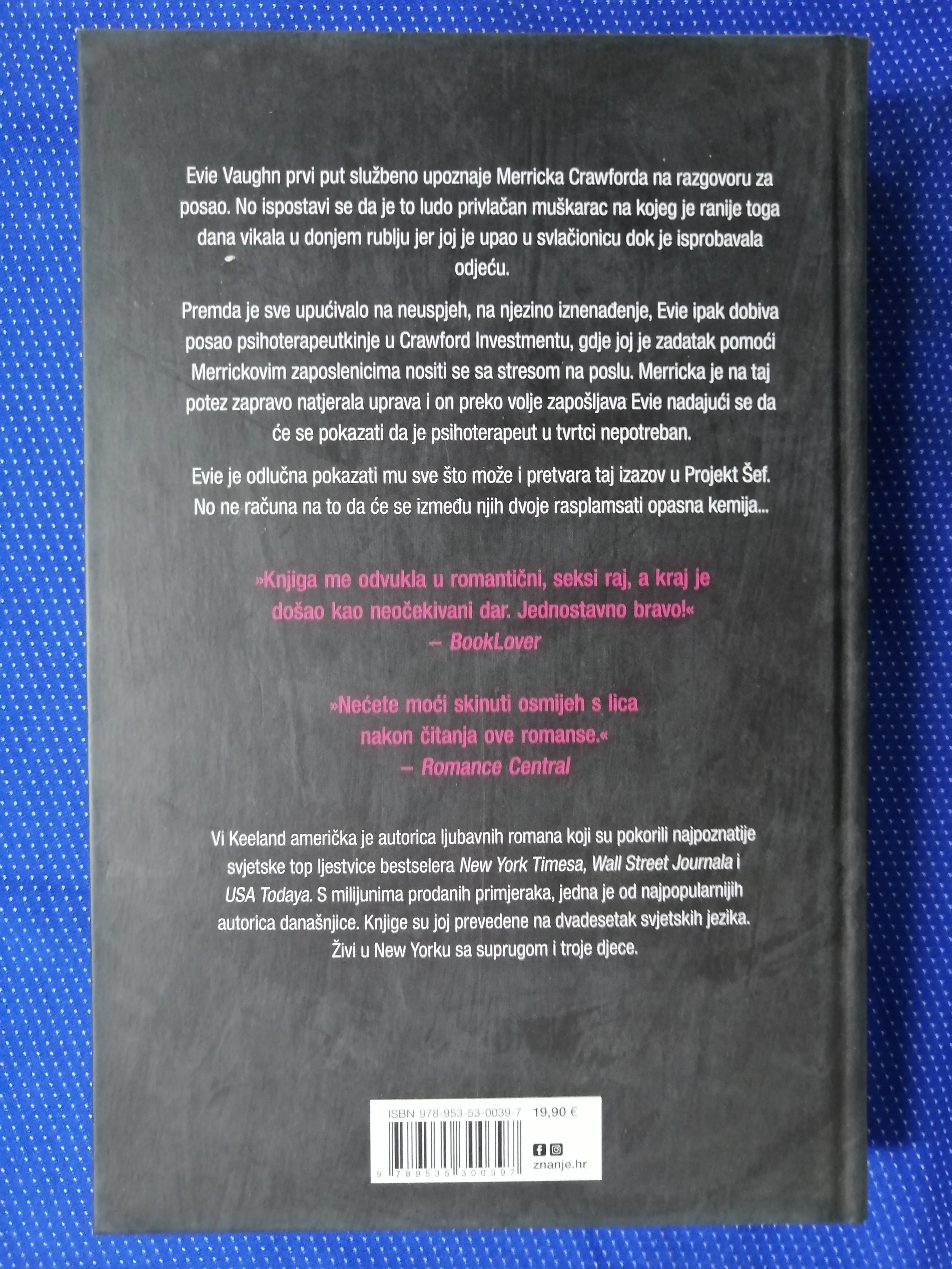 vi keeland – projekt šef - slika 4