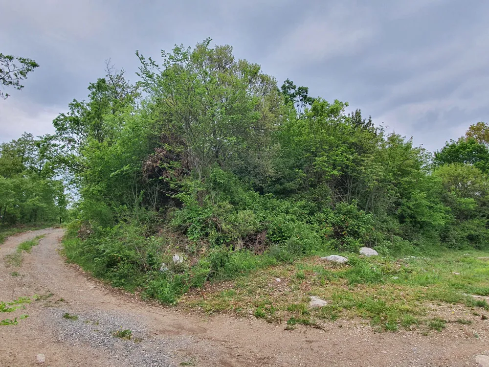 prodaja, građevinska parcela u pićnu, z-627 - slika 6