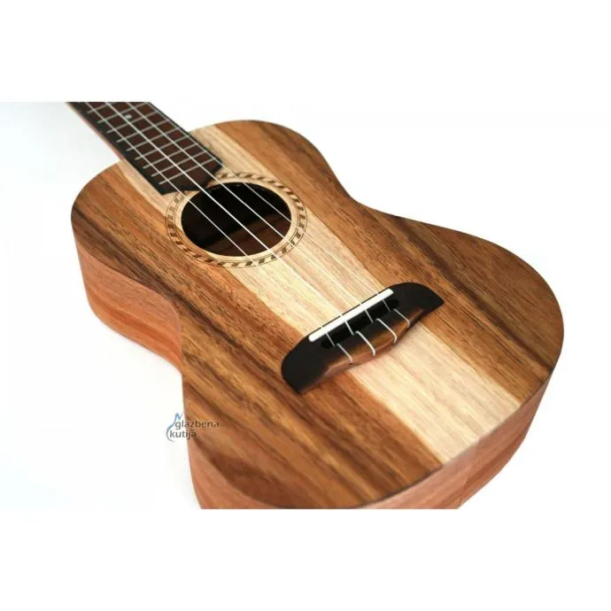 apc ts tenor ukulele - slika 3