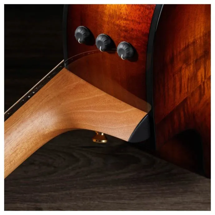 taylor 222ce-k dlx - slika 8