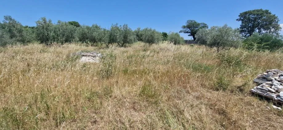 zadar, briševo, građevinsko zemljište (1108m2) - slika 2