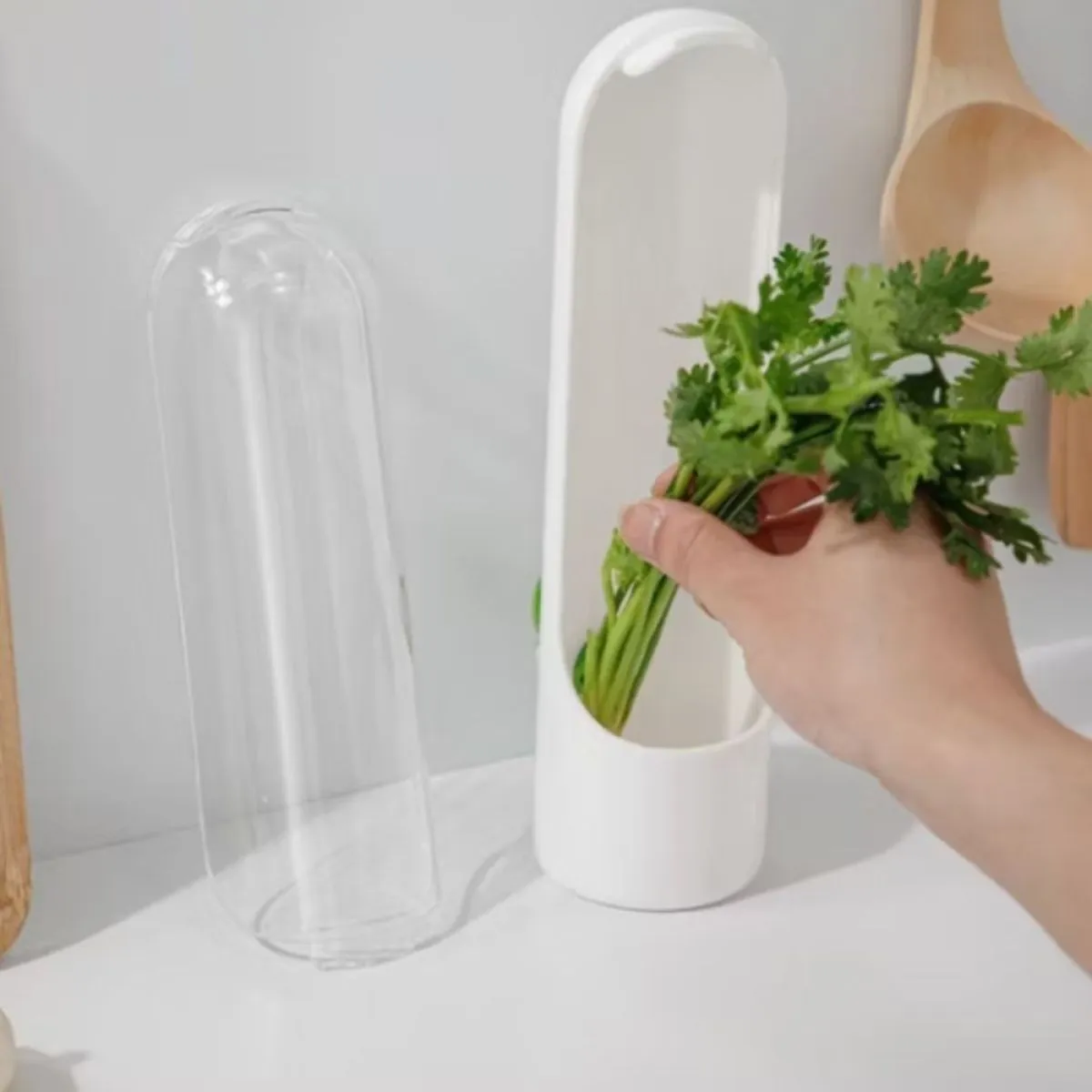 spremnik za čuvanje bilja - herbary - slika 5