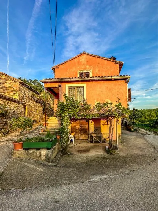 istra-malo selo s nagrađivanim vinom i maslinovim uljem (prodaja) - slika 10