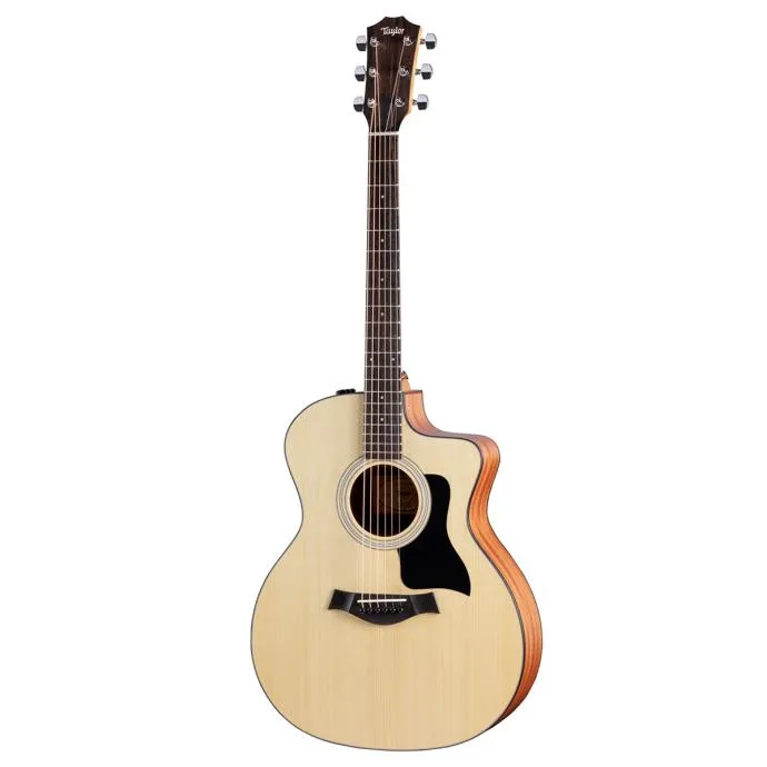 TAYLOR 114ce-S SPECIAL EDITION - Zagreb