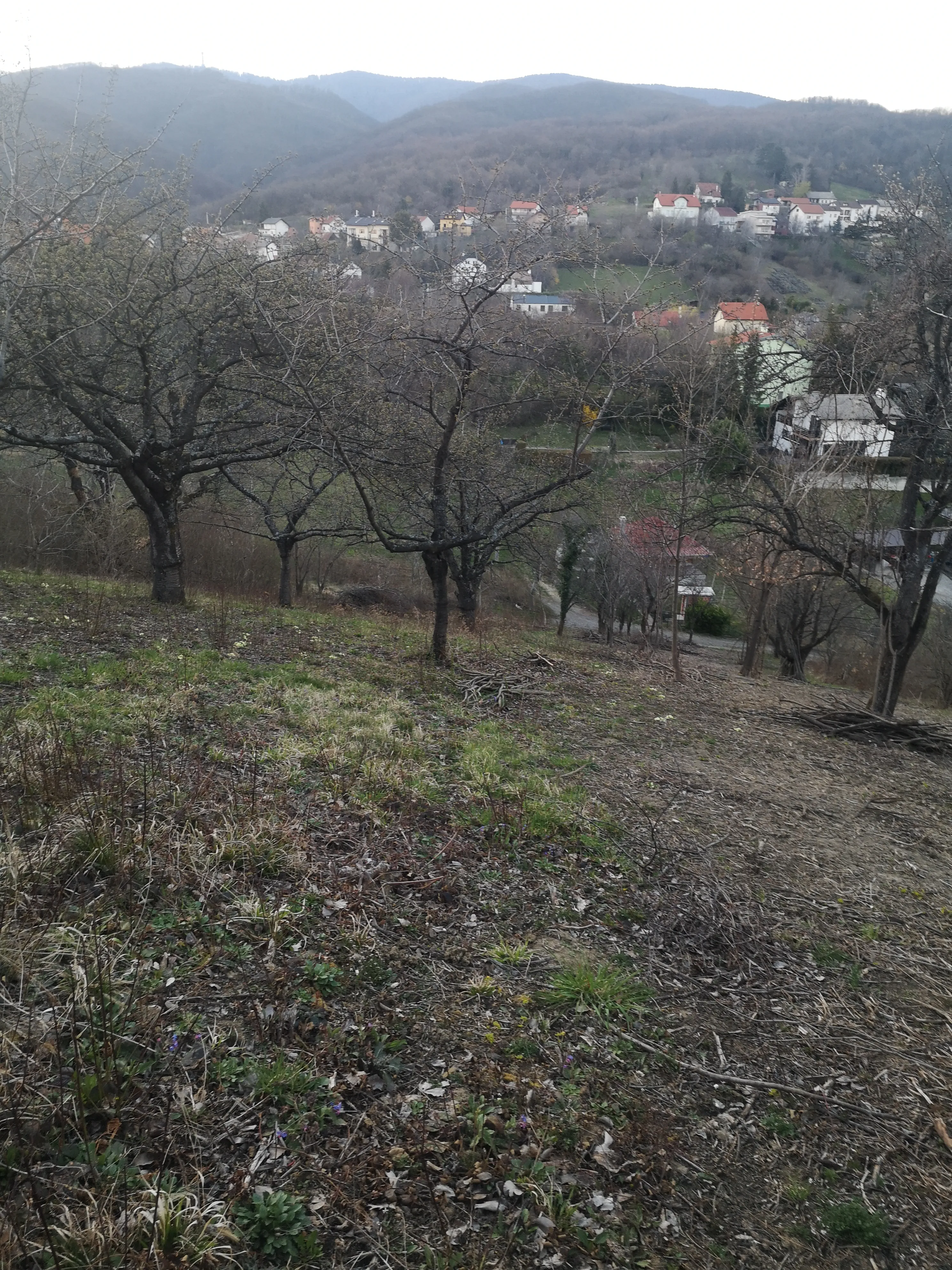 gradilište-voćnjak 1119 m2 markuševec****prodaja-zamjena**** - slika 18