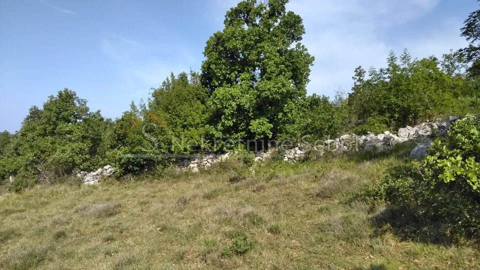 višnjan, zoričići - zemljište, 62710 m2 prodaja - slika 16
