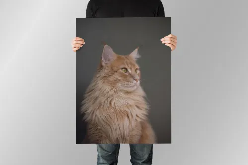 Poster sa fotografijom kućnog ljubimca - Osijek