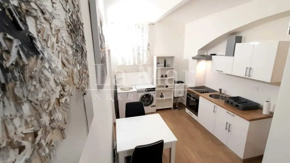 poslovni prostor, centar, preko puta botaničkog vrta - 36 m2 - slika 4
