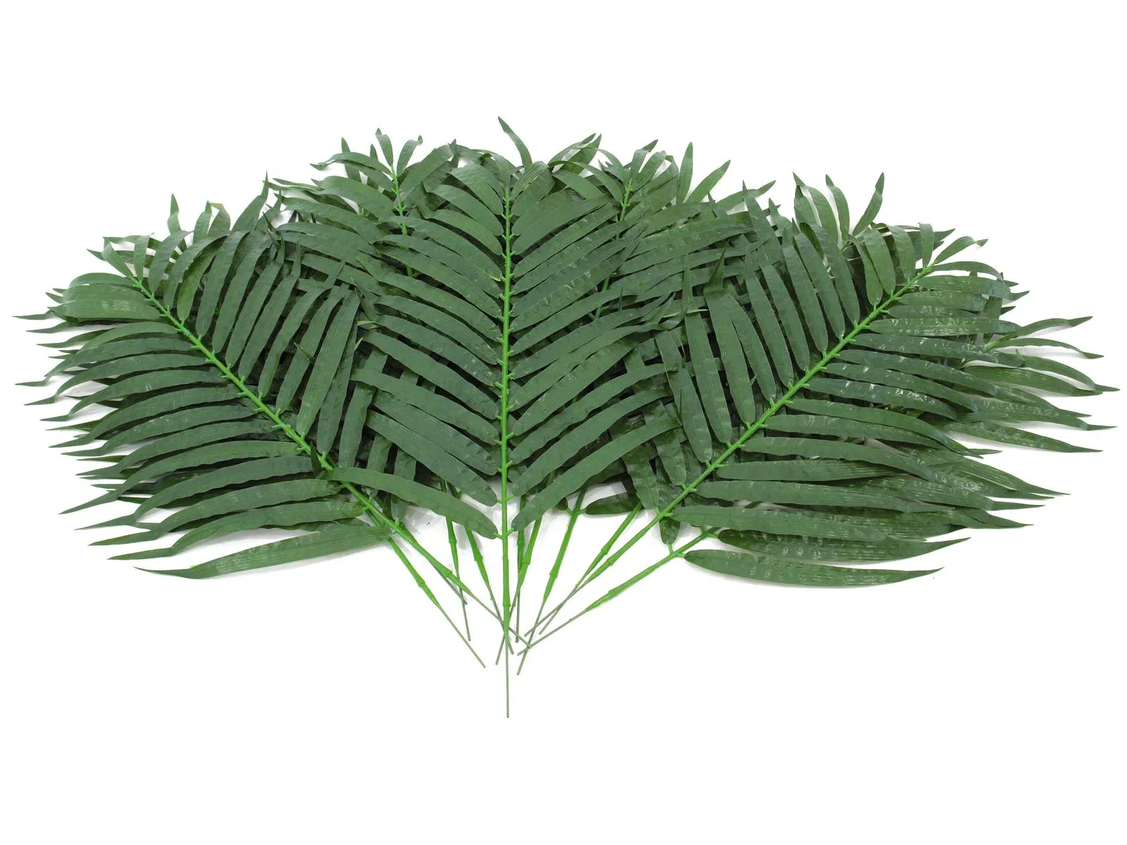 EUROPALMS Coconut palm branch 80cm 12x - Križevci