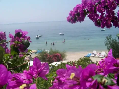 Apartmani Petar Vlašić - Podstrana