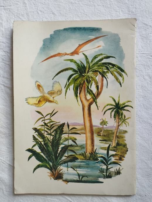 ware, sutherland, ostrom - let`s read about prehistoric animals - slika 2