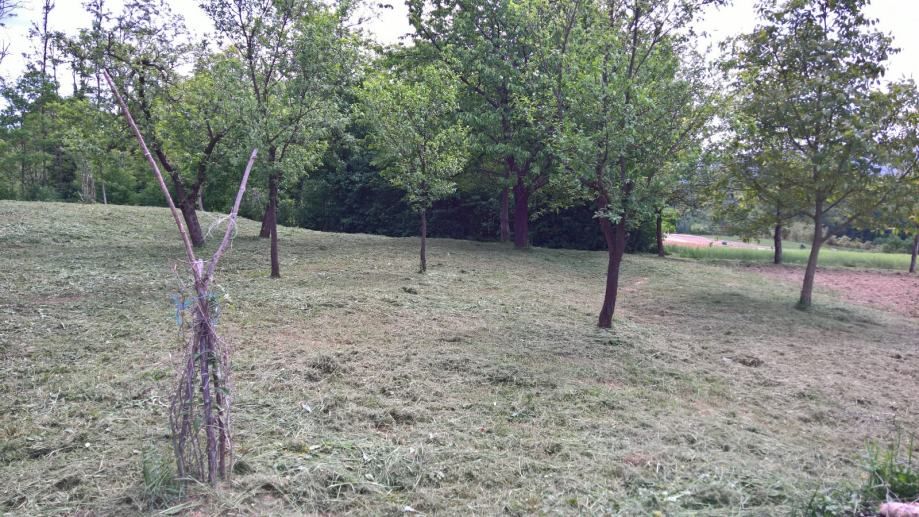 građevinsko zemljište, stubička slatina, 6100 m2 - slika 6