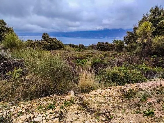 brač-7.388m2 zemljišta s maslinikom, vinogradom i pogledom na more - slika 2