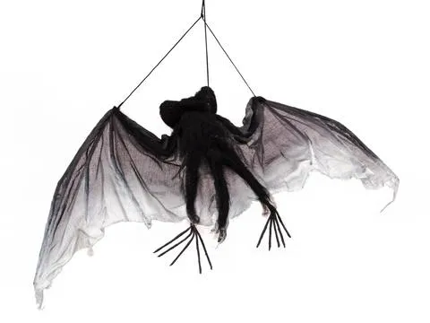 europalms bat with ca 120 cm wing-spread - slika 2