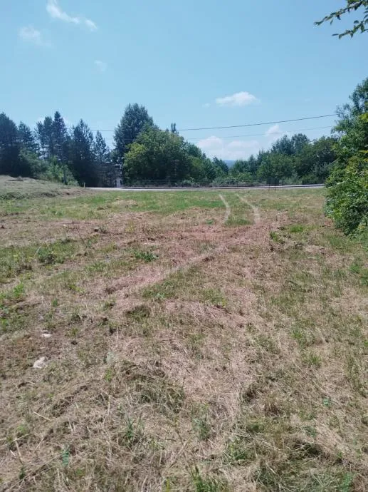 sniženo građevinsko zemljište, drežnik grad, 28.000 m2 - slika 4