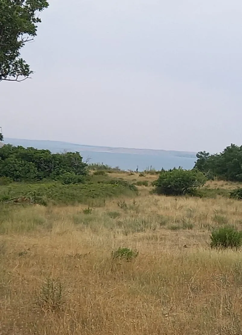 Ražanac( Rudići)-Poljoprivredno Zemljište S Pogledom Na More 3215 M2 - Rudići, Ražanac