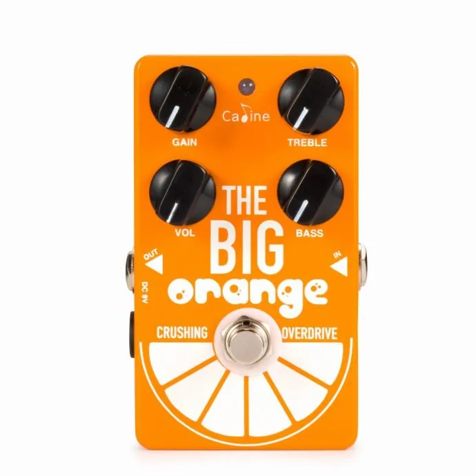 caline cp54 big orange - slika 2