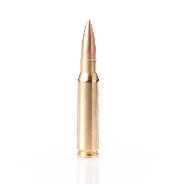 Karabinsko streljivo FIOCCHI 308 Win. EXACTA HPBT 10,9g / 168gr - Poreč
