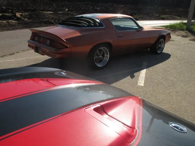mustang mach 1,429cj - slika 16