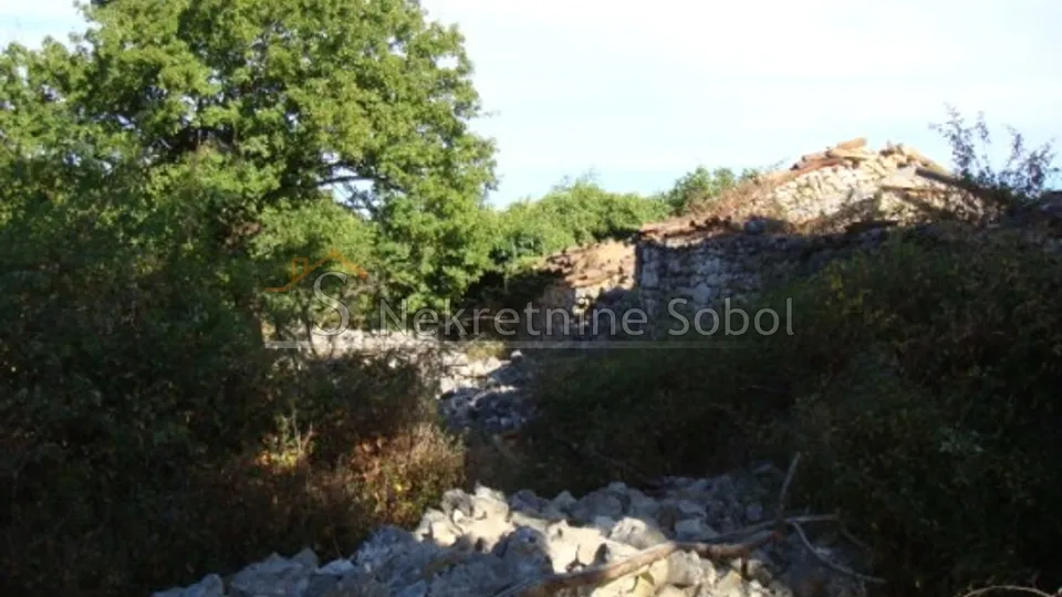 cres, beli - kuća, 567 m2 prodaja - slika 6