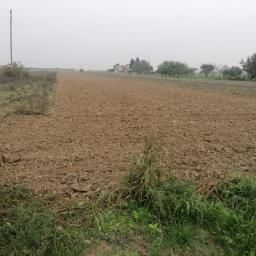 građevinsko zemljište, darda, 4023 m2 - slika 2