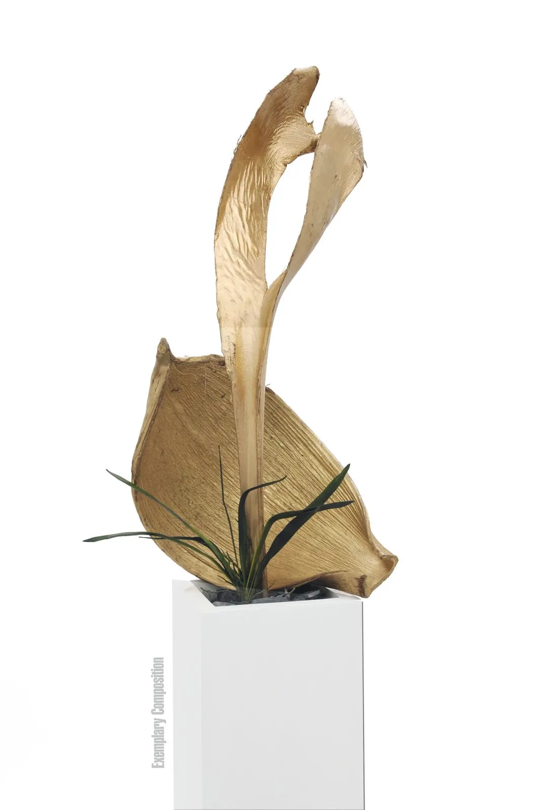 europalms palm leaf, dried, gold - slika 3