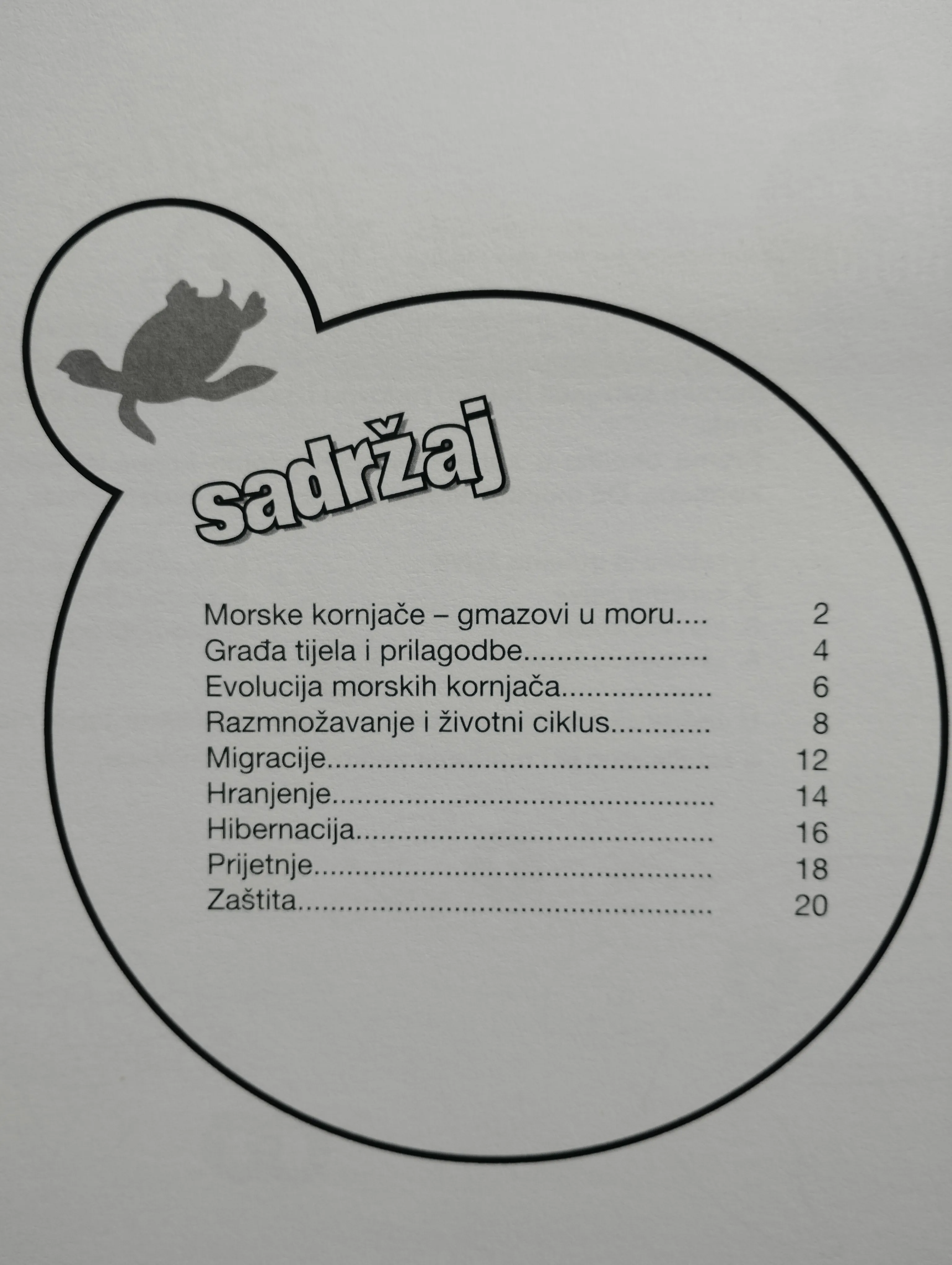 živi svijet morske obale,morske kornjače,morski psi,dupini,ribe lot - slika 3