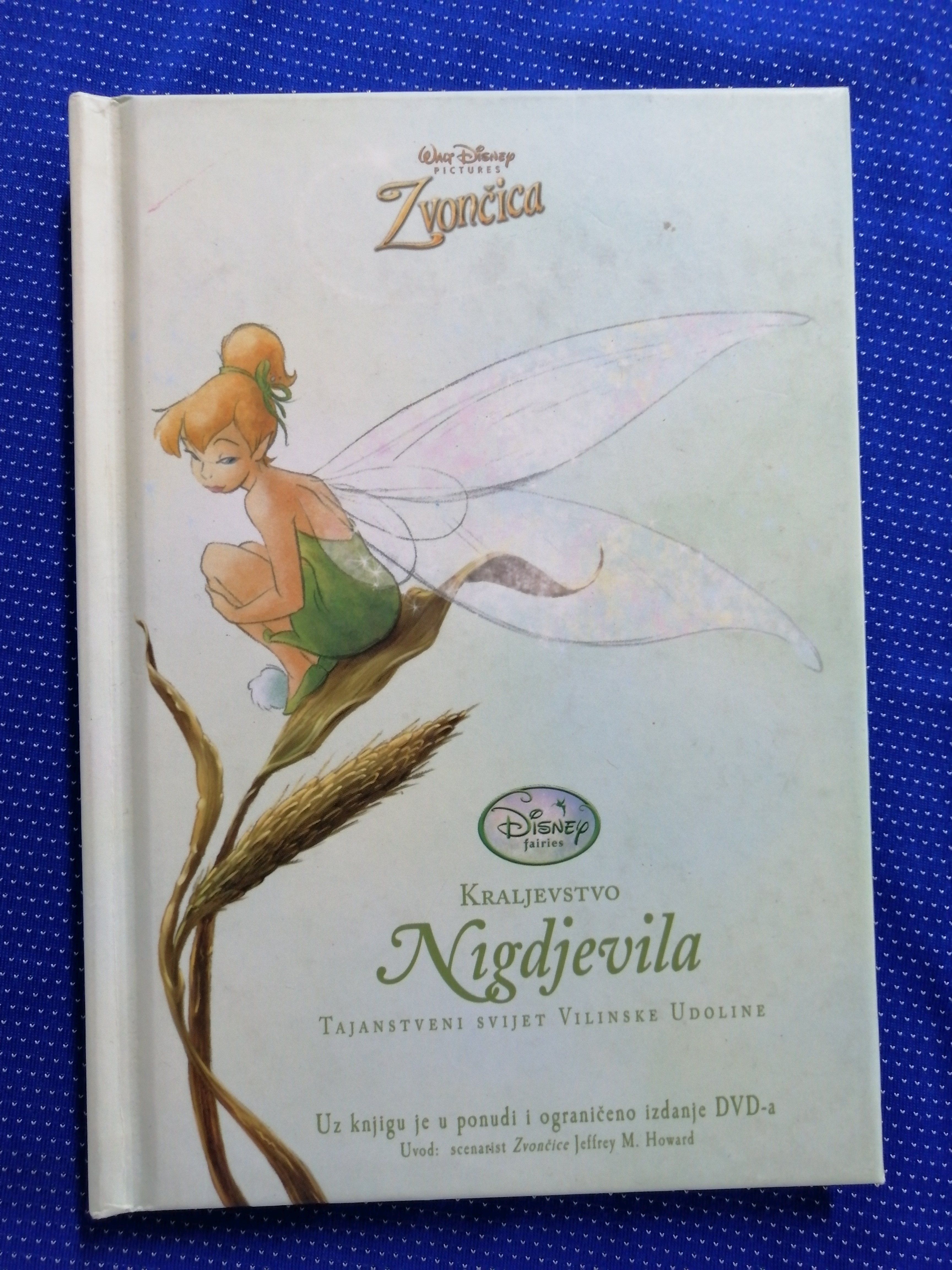 Kraljevstvo Nigdjevila : Tajanstveni svijet Vilinske Udoline - Zagreb
