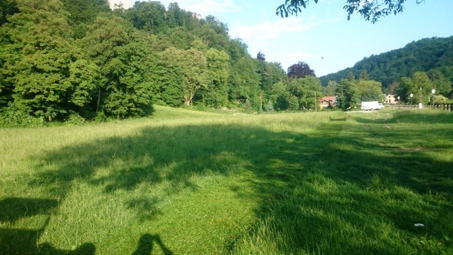 malčiranje i čišćenje zaraslih površina i terena 095/333-4444 - slika 10